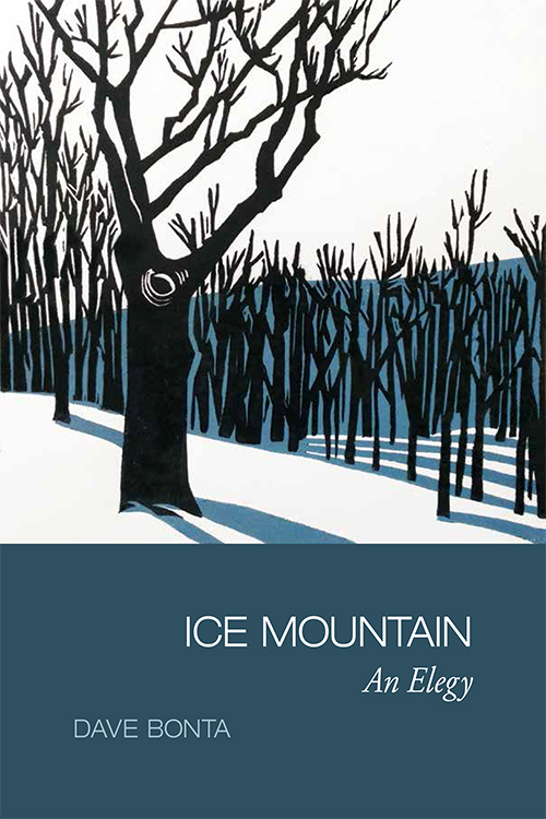 cover of Ice Mountain