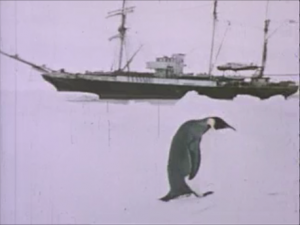 Shackleton's Banjo thumbnail (penguin with ship)