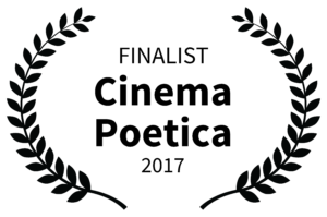 finalist, Cinema Poetica 2017