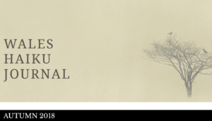 Wales Haiku Journal screenshot