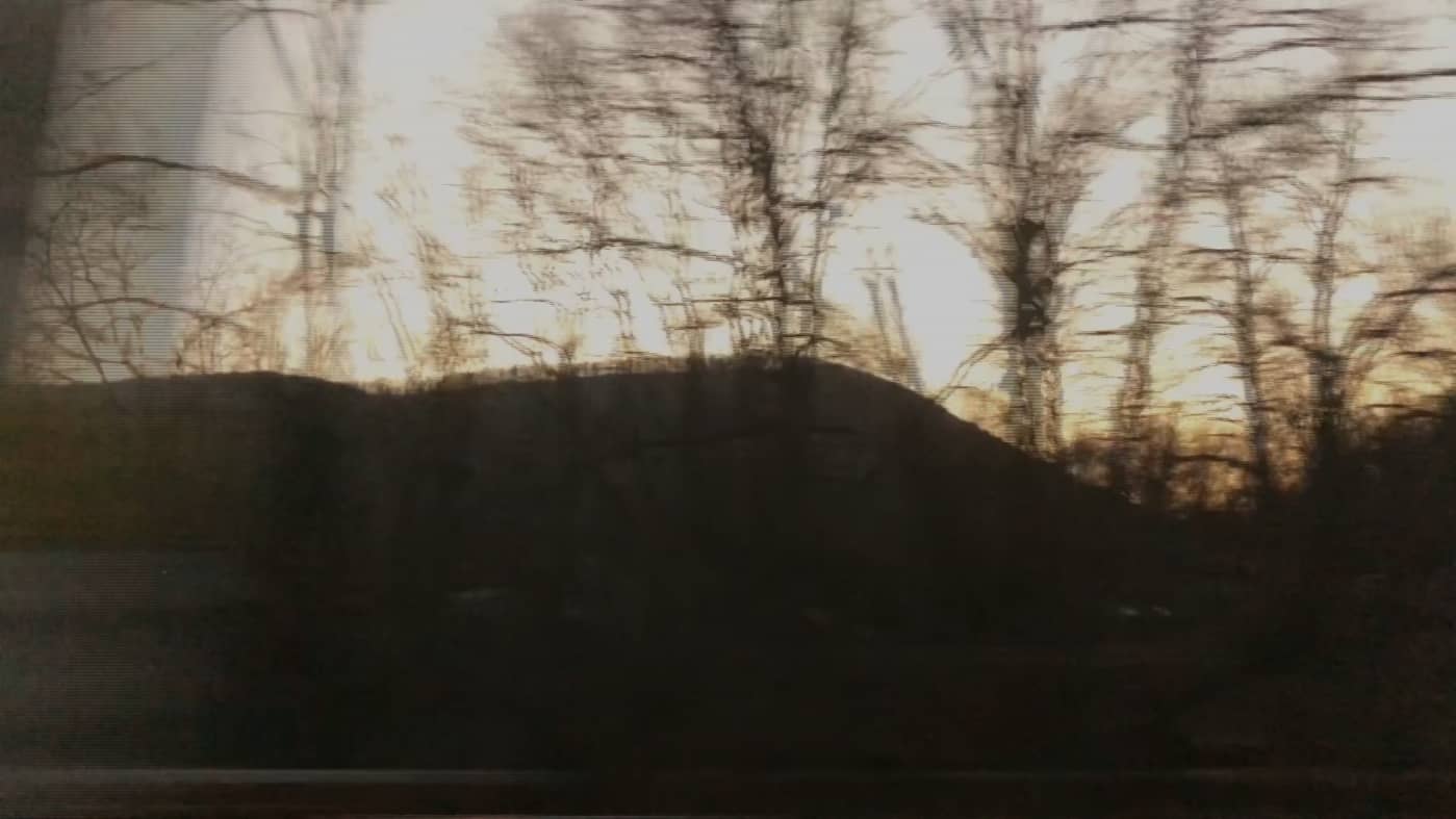 still from the video "winter trees"