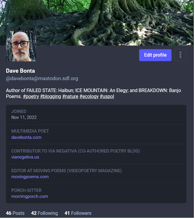 screenshot of my Mastodon profile