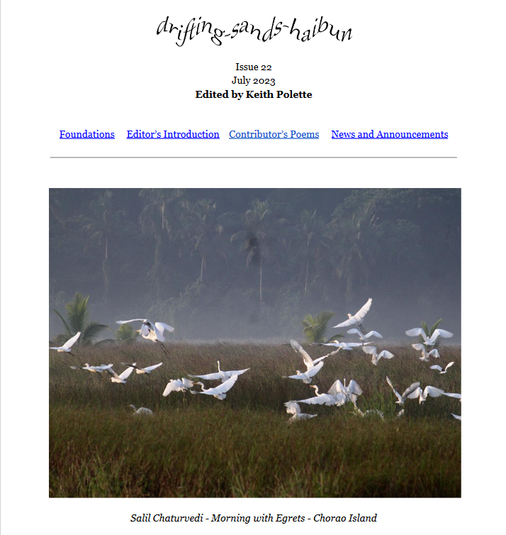 Drfting Sands cover with  a photo of egrets taking flight from a marsh